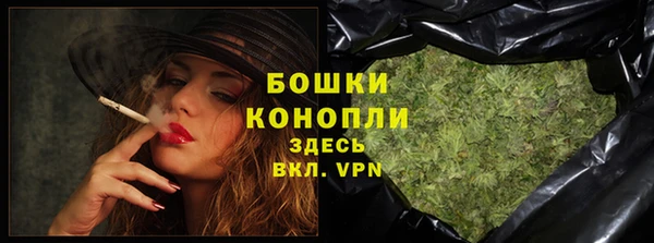 прущий лед Богданович