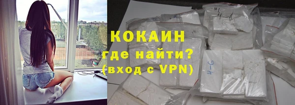 сатива Беломорск