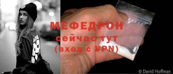 сатива Беломорск