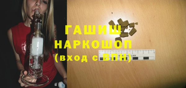 сатива Беломорск
