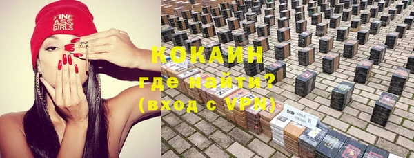 ECSTASY Богородицк
