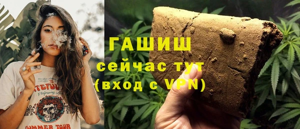 сатива Беломорск
