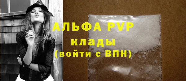 Альфа ПВП Белокуриха