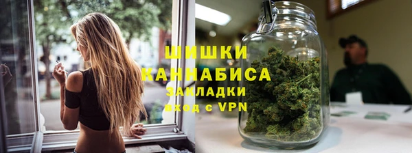 сатива Беломорск