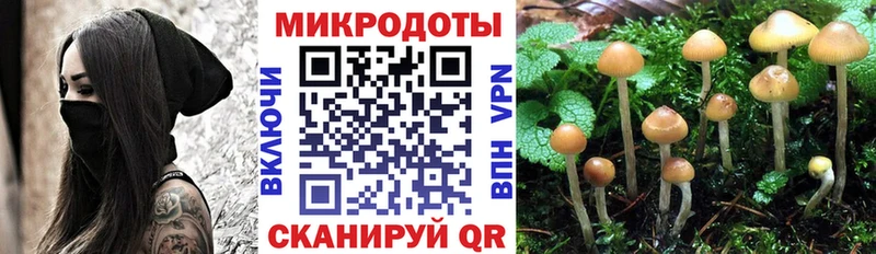 купить наркоту Княгинино Галлюциногенные грибы Cubensis